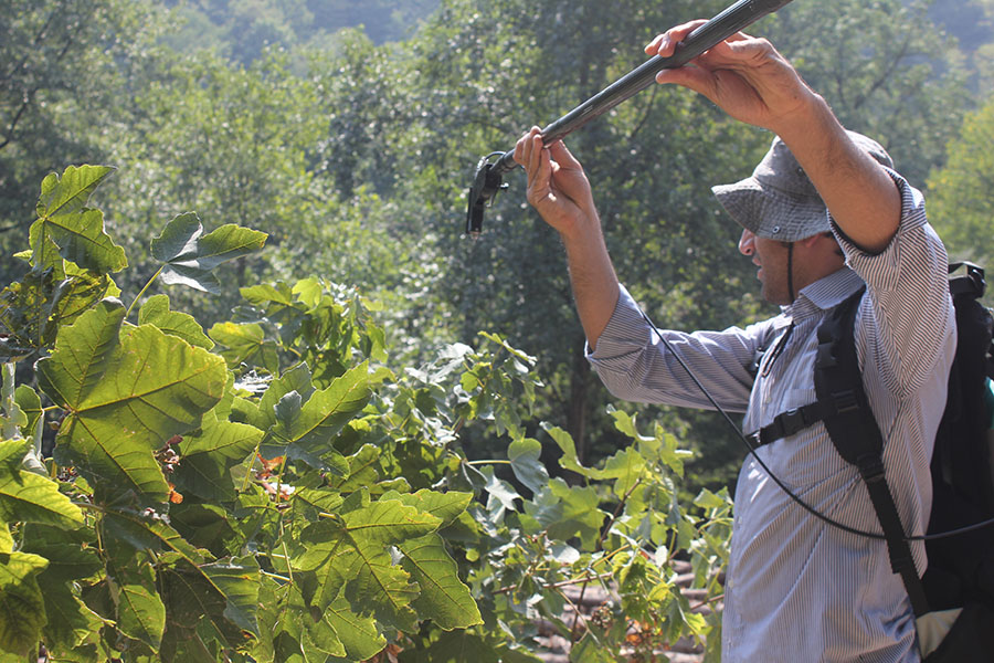 Photogrammetry & Remote Sensing